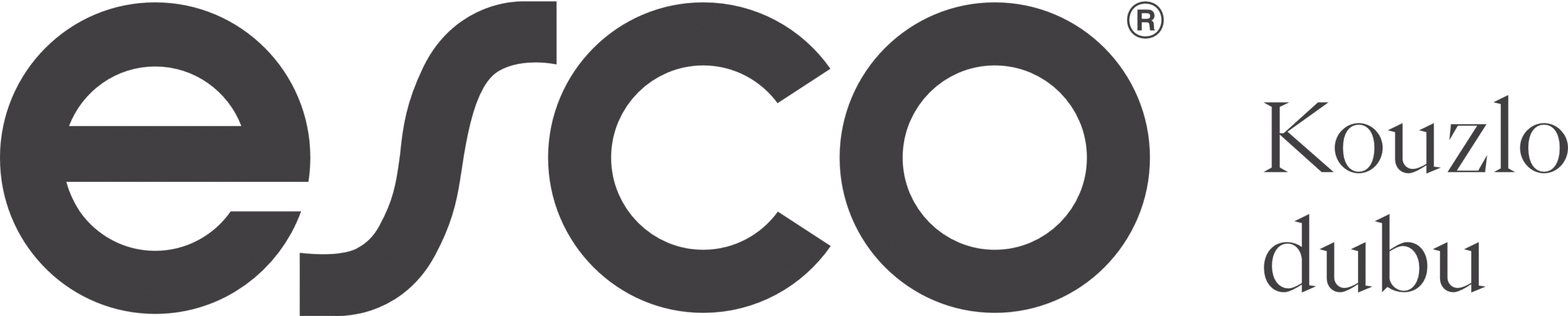 Esco-logo-2024-cmyk
