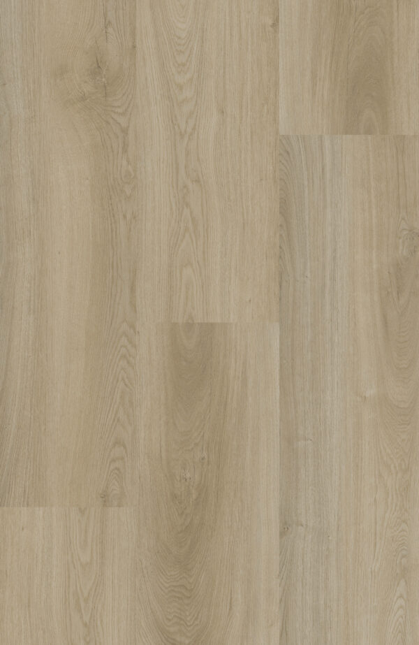 EW-2870 Light Oak swatch 2