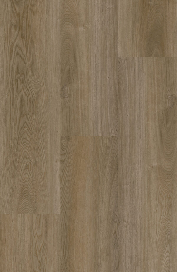 EW-2872 Nature Oak swatch 2