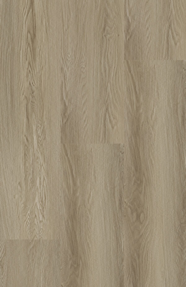 EW-2882 Future Oak Light swatch 2