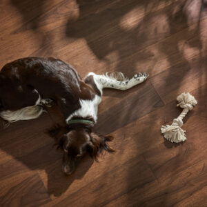 Parky-Pro-Smoked-Walnut