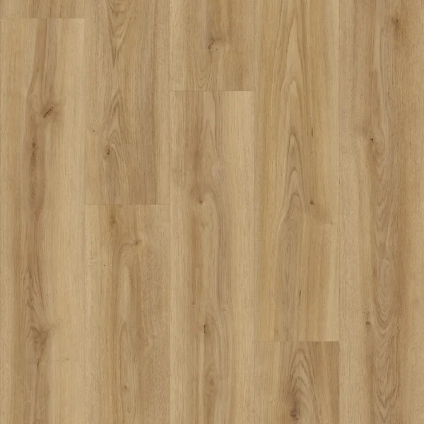 Kaindl K2239