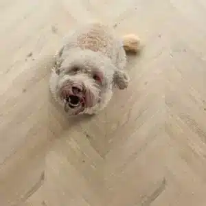 Floorify Chevron F700 Maurice