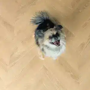 Floorify Chevron F701 Rocky