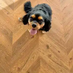 Floorify Chevron F733 Oscar