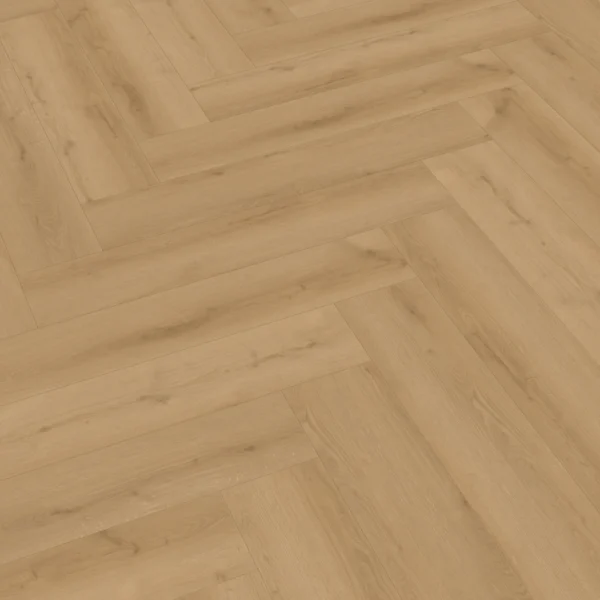 Meister 400051-0730146-20202