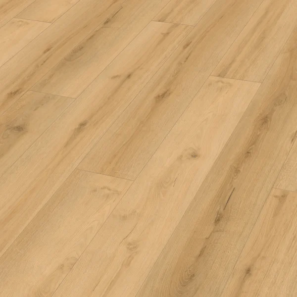 Meister 400052-1830225-20218