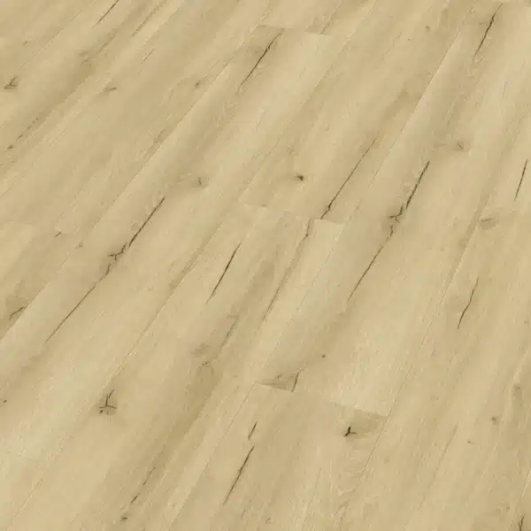 Meister 400048-1226186-20191