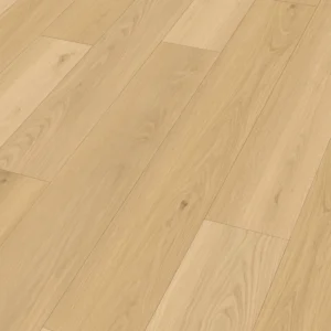 Meister 400050-1522225-20204