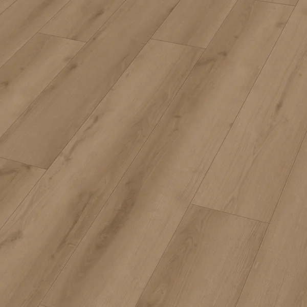 Meister 400050-1522225-20203