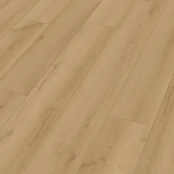 Meister 400050-1522225-20202