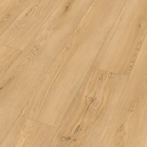 Meister 400050-1522225-20196