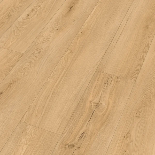 Meister 400050-1522225-20196