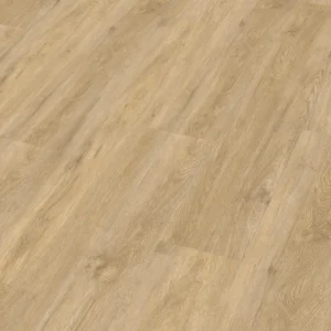 Meister 400047-1220230-20195