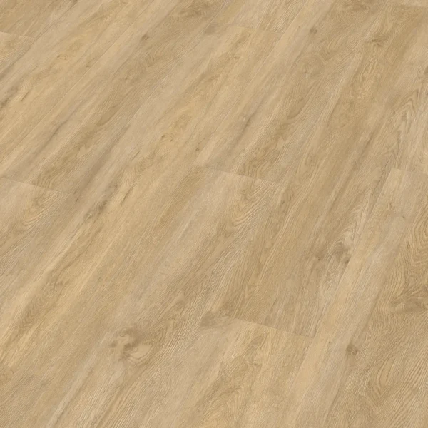 Meister 400047-1220230-20195