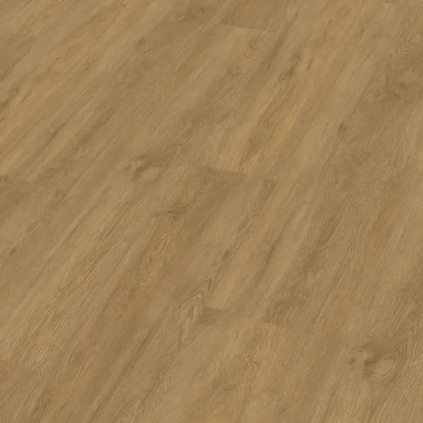 Meister 400047-1220230-20194