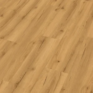 Meister 400047-1220230-20193