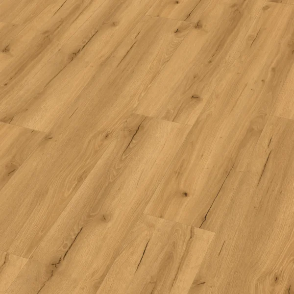 Meister 400047-1220230-20193