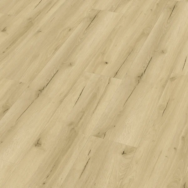 Meister 400047-1220230-20191