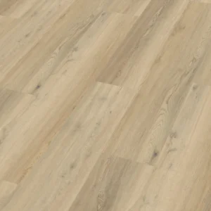 Meister 400047-1220230-20190