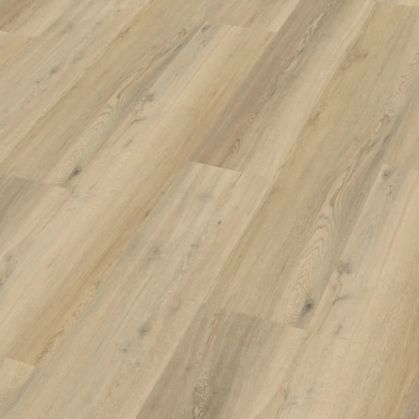 Meister 400047-1220230-20190