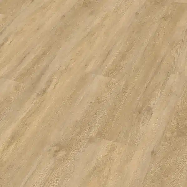 Meister 400048-1226186-20195