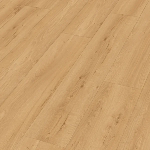 Meister 400053-1290253-07450