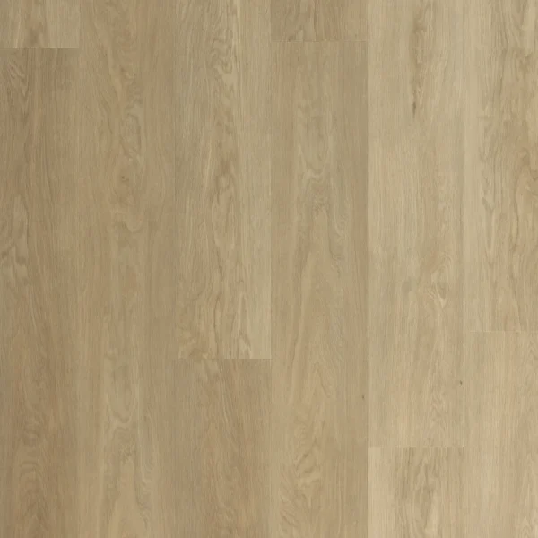 Lamett Emesty EM-504-IB