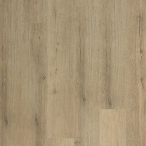 Lamett Emesty EM-503-IB