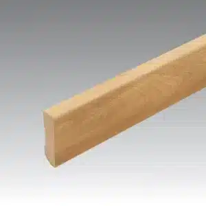 SKI-060_501