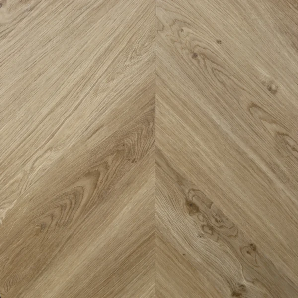 VTL Chevron Versailles