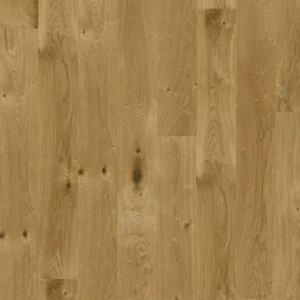 B18303_Floor!t_Standard_Royal_Orchid_Dub_Miltonia