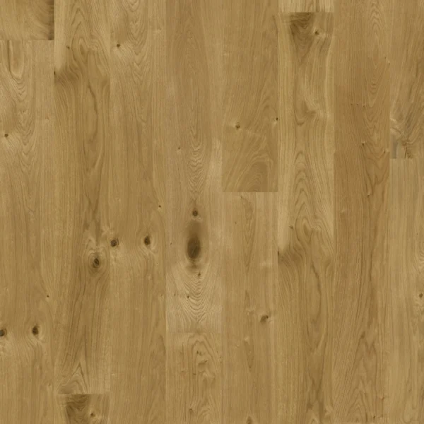B18303_Floor!t_Standard_Royal_Orchid_Dub_Miltonia